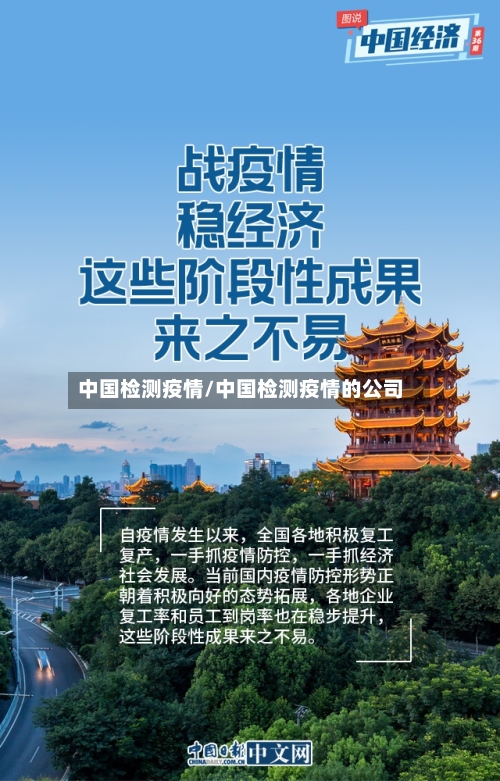 中国检测疫情/中国检测疫情的公司